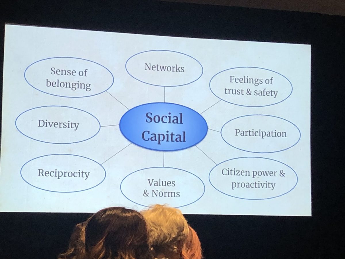 graphic showing components of social capital which is in a circle on the middle of the slide. Around the center circle are other circles with these words, sense of belonging, networks, feelings of trust and safety, participation, citizen power and proactivity, values and norms, reciprocity, and diversity
